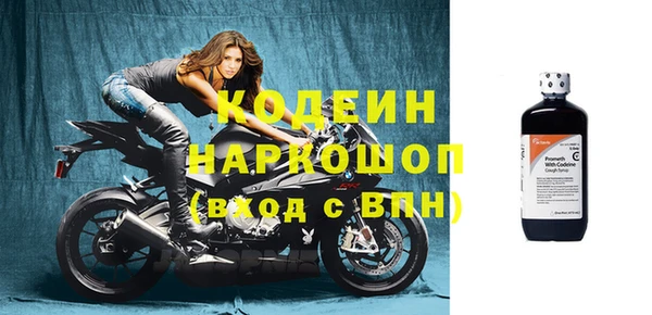 ГАЛЛЮЦИНОГЕННЫЕ ГРИБЫ Вязники