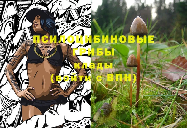 меф Горнозаводск